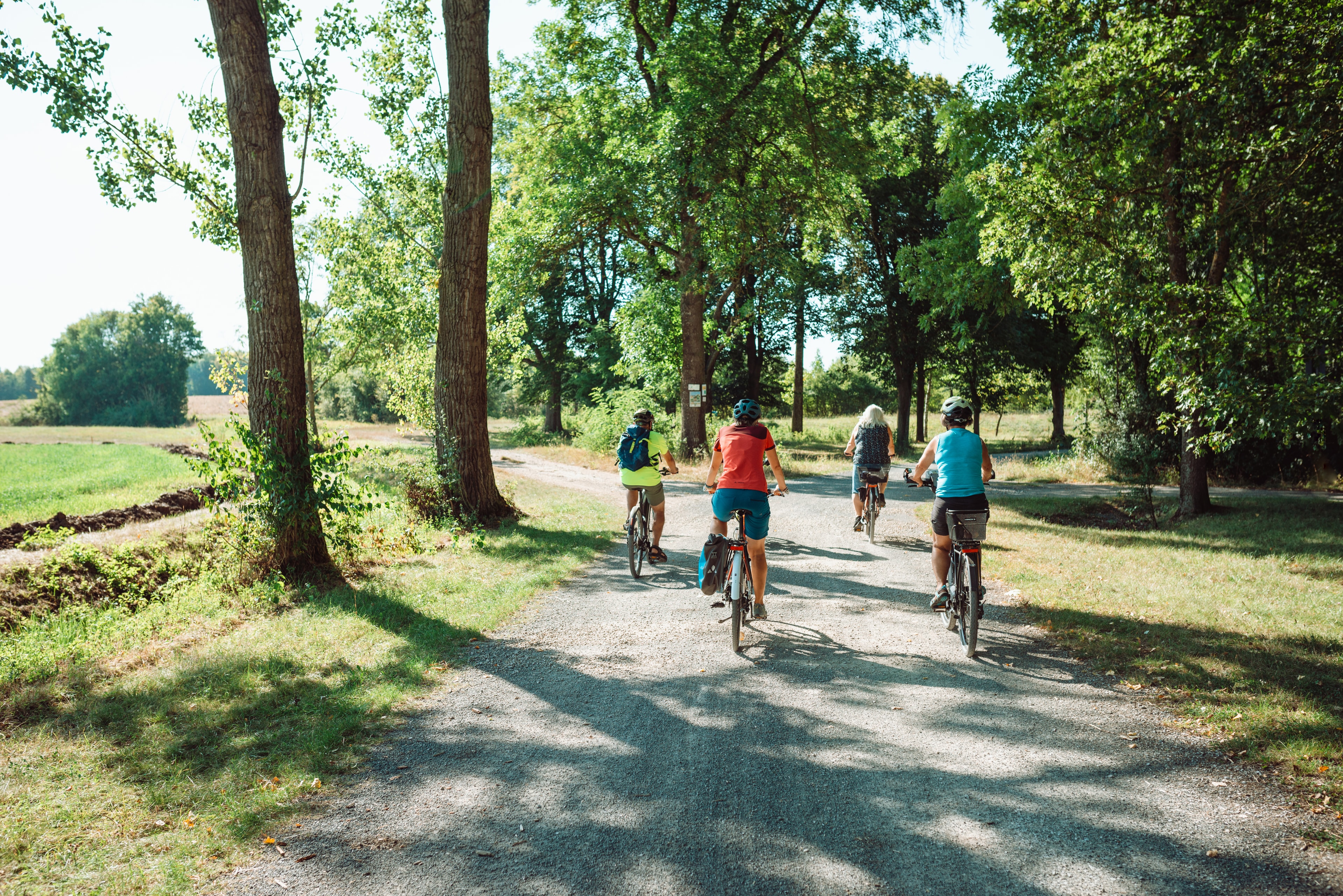 Menschen auf Fahrrädern befahren einen von Bäumen gesäumten Wirtschaftsweg