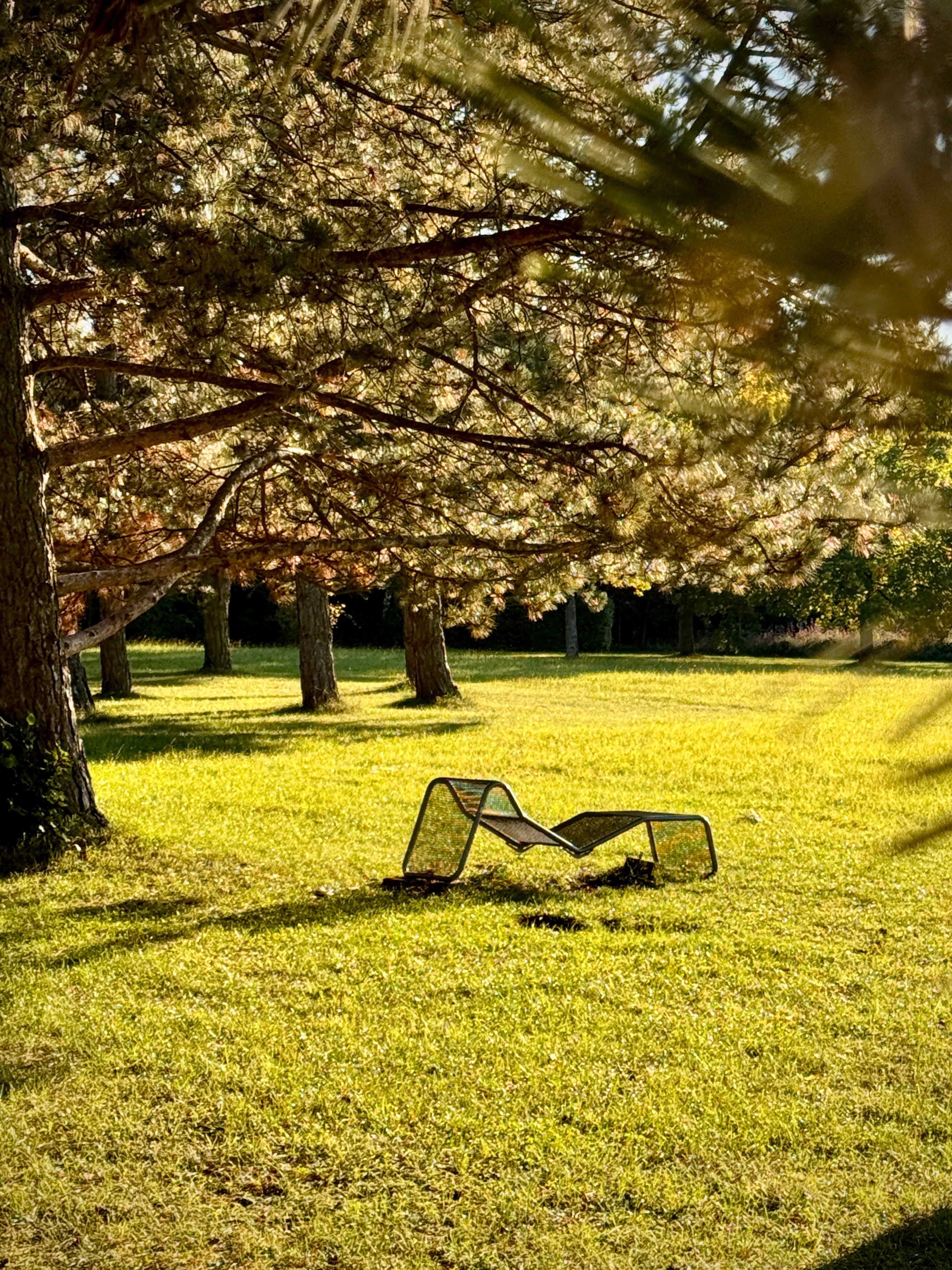 Bank im Sonnenlicht im Park unter Bäumen. Kurpark Bad Windsheim