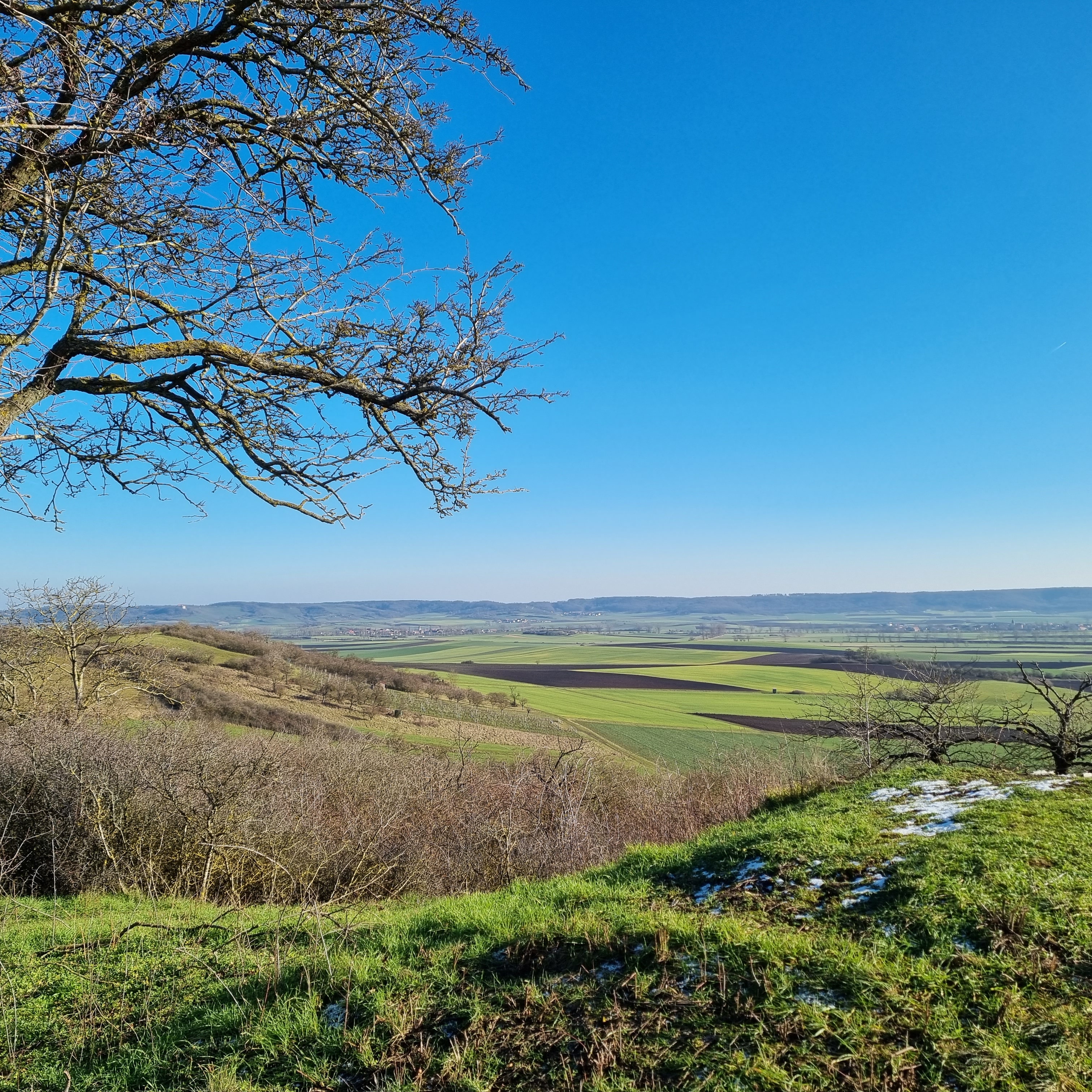 Weitblick auf grüne, flache Naturlandschaft und blauen Himmel