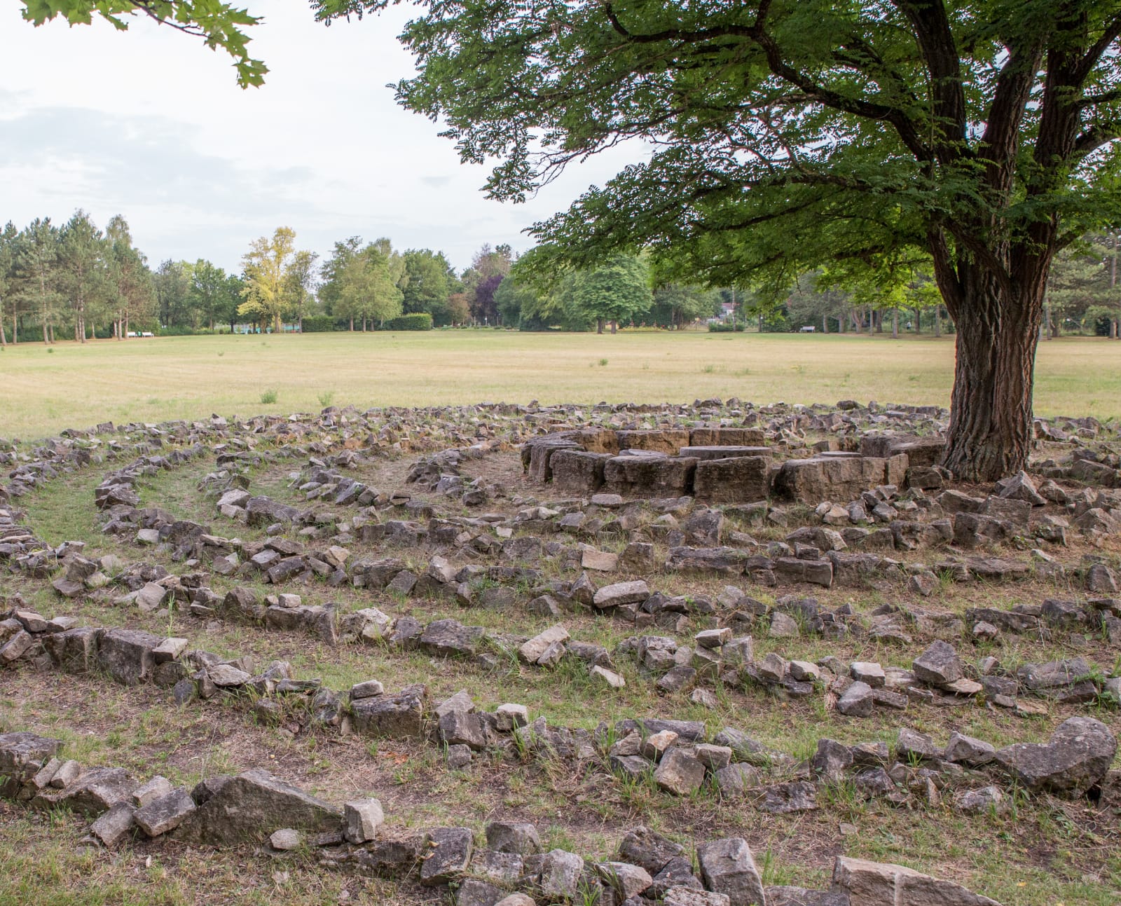 Steinlabyrinth im Kurpark Bad Windsheim, Ausschnitt mit rechts angeschnittenem Baum, der im Zentrum des Labyrinths wächst, dahinter Rasenfläche, Baumreihe am Horizont