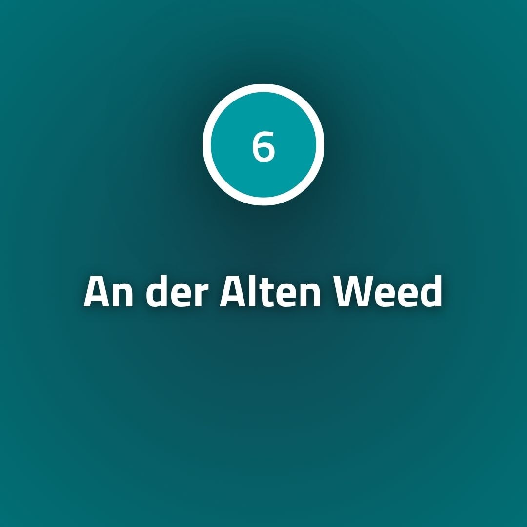 An der Alten Weed Titel-Slide