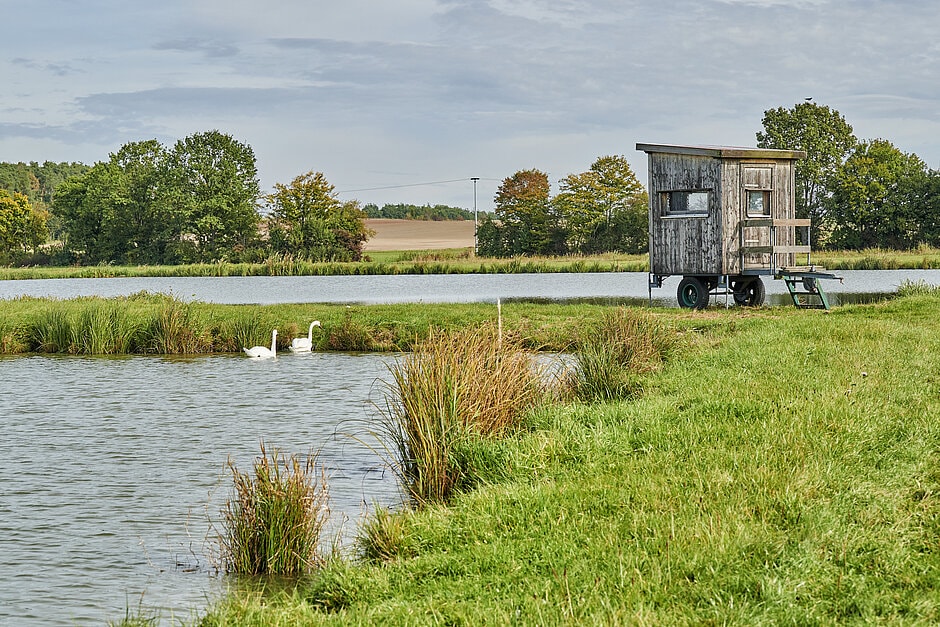 Typisch fränkischer Karpfenweiher, auch Himmelsweiher genannt, Schwäne, Fischerkarren