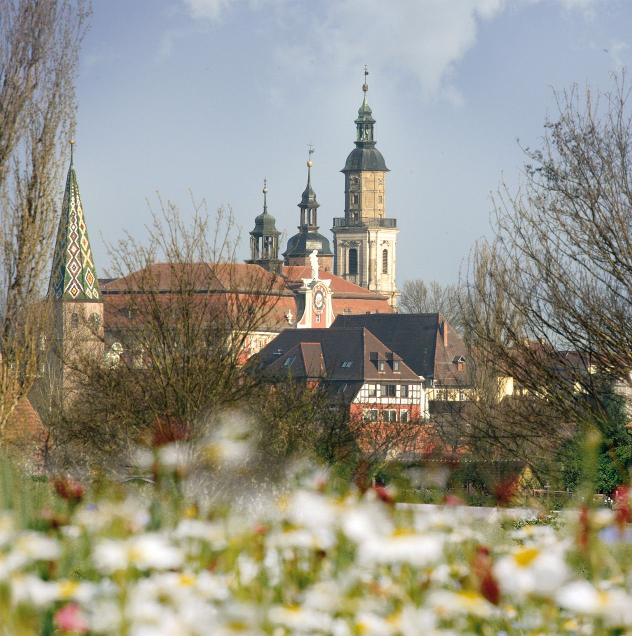 Silhouette Bad Windsheim mit einer blühenden Margeriten-Wiese im Vordergrund
