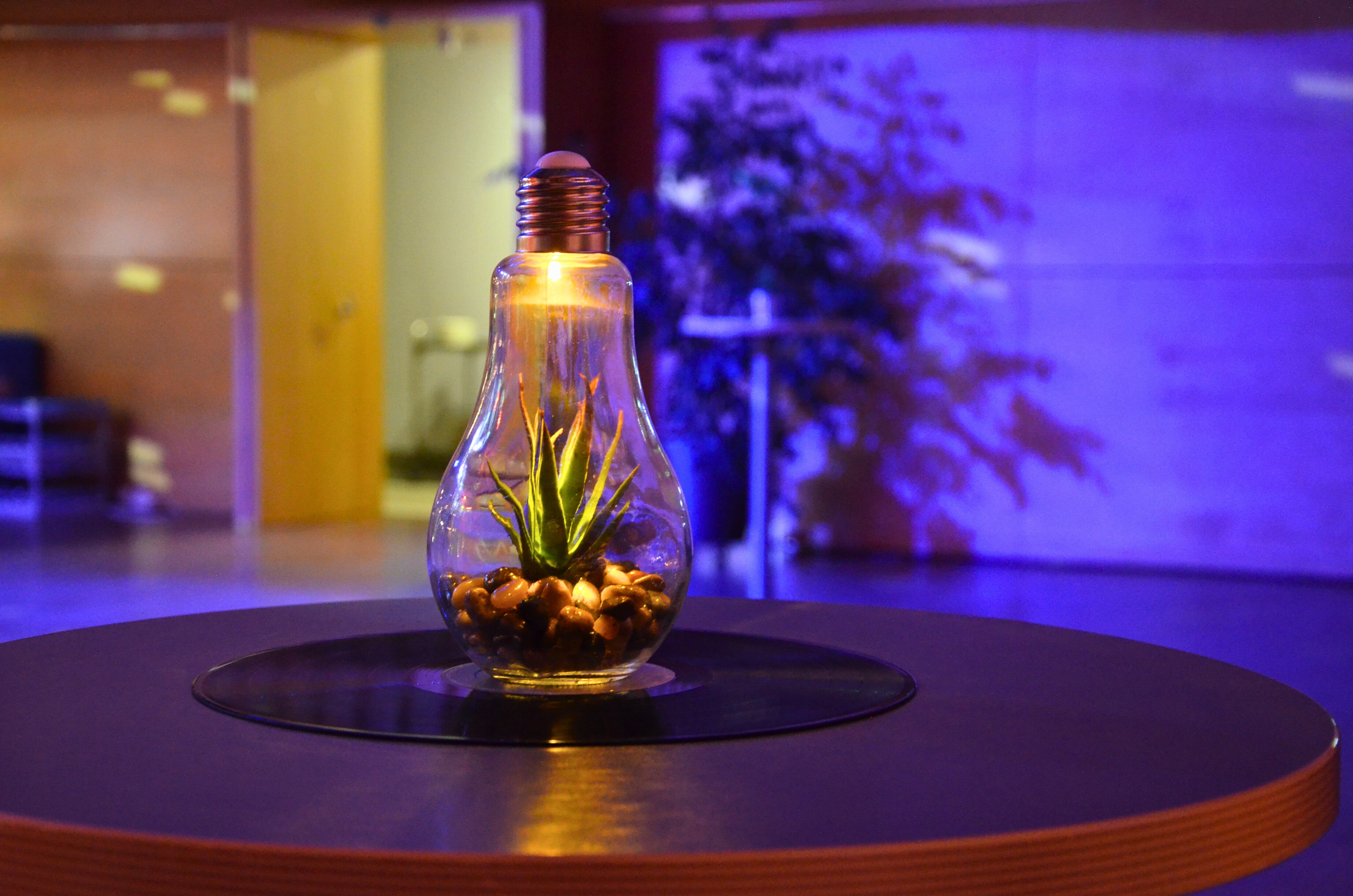 Umgedrehte Glühbirne als Tischdeko